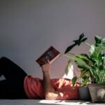 Relaxing with Indoor Low Light Plants: A Peaceful Reading Scene