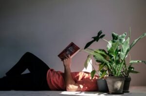 Read more about the article Relaxing with Indoor Low Light Plants: A Peaceful Reading Scene